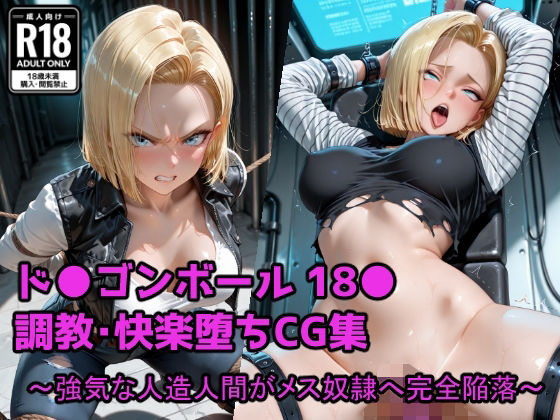 D 683113pl