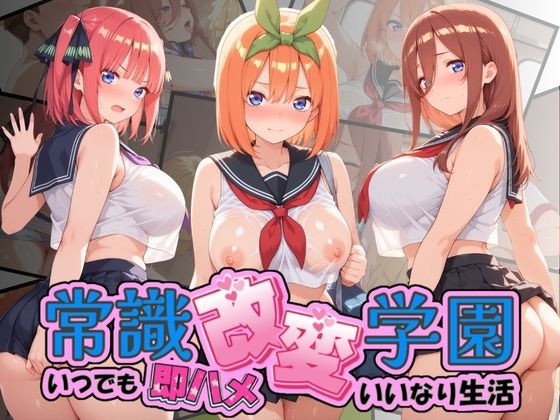 D 764572pl