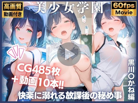 D 764611pl