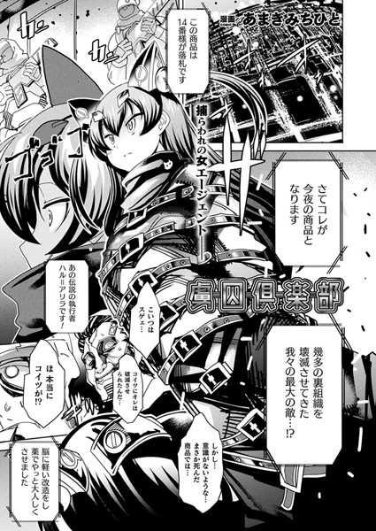 B241bktur01074pl
