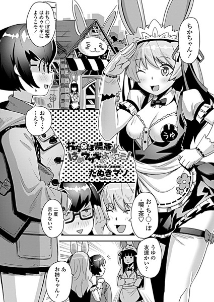 B333afjpc01243pl