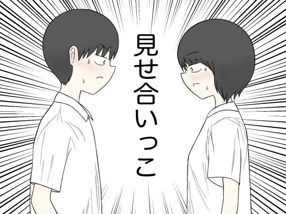 D 681114pl